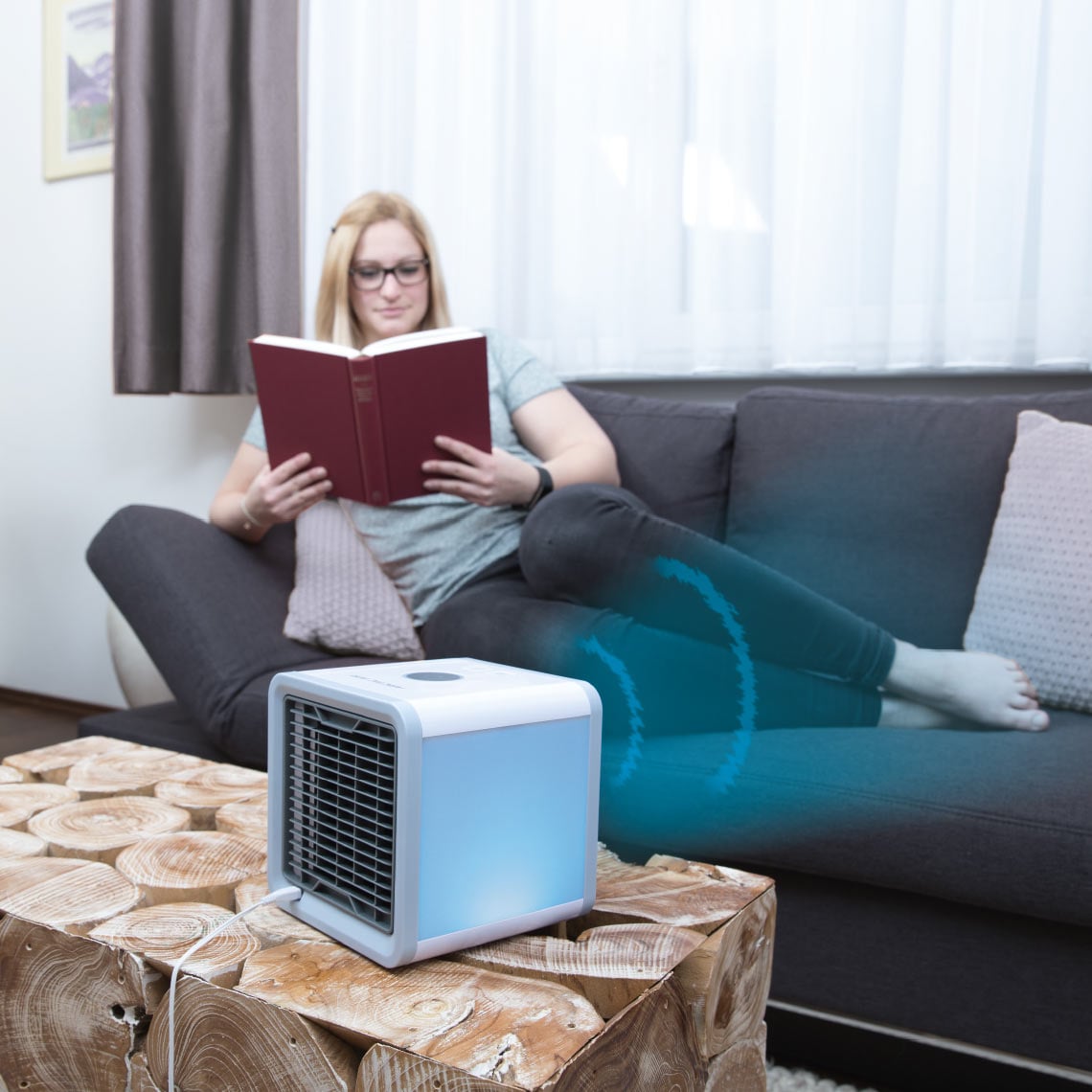 Arctic Air Verdunstungskühler