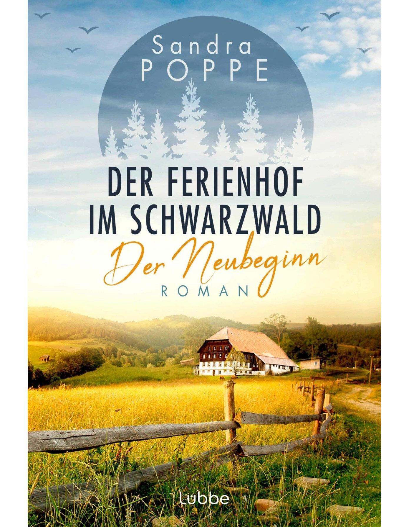 Der Neubeginn / Der Ferienhof im Schwarzwald Bd.1
