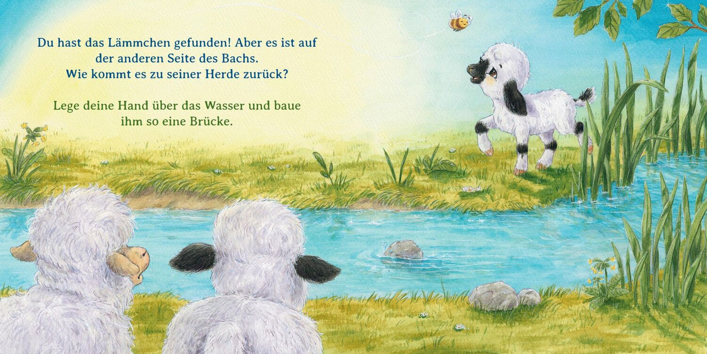 Boje Einmal ganz doll knuddeln (Deutsch, 2023, Sophie Schoenwald, Nadine Reitz)