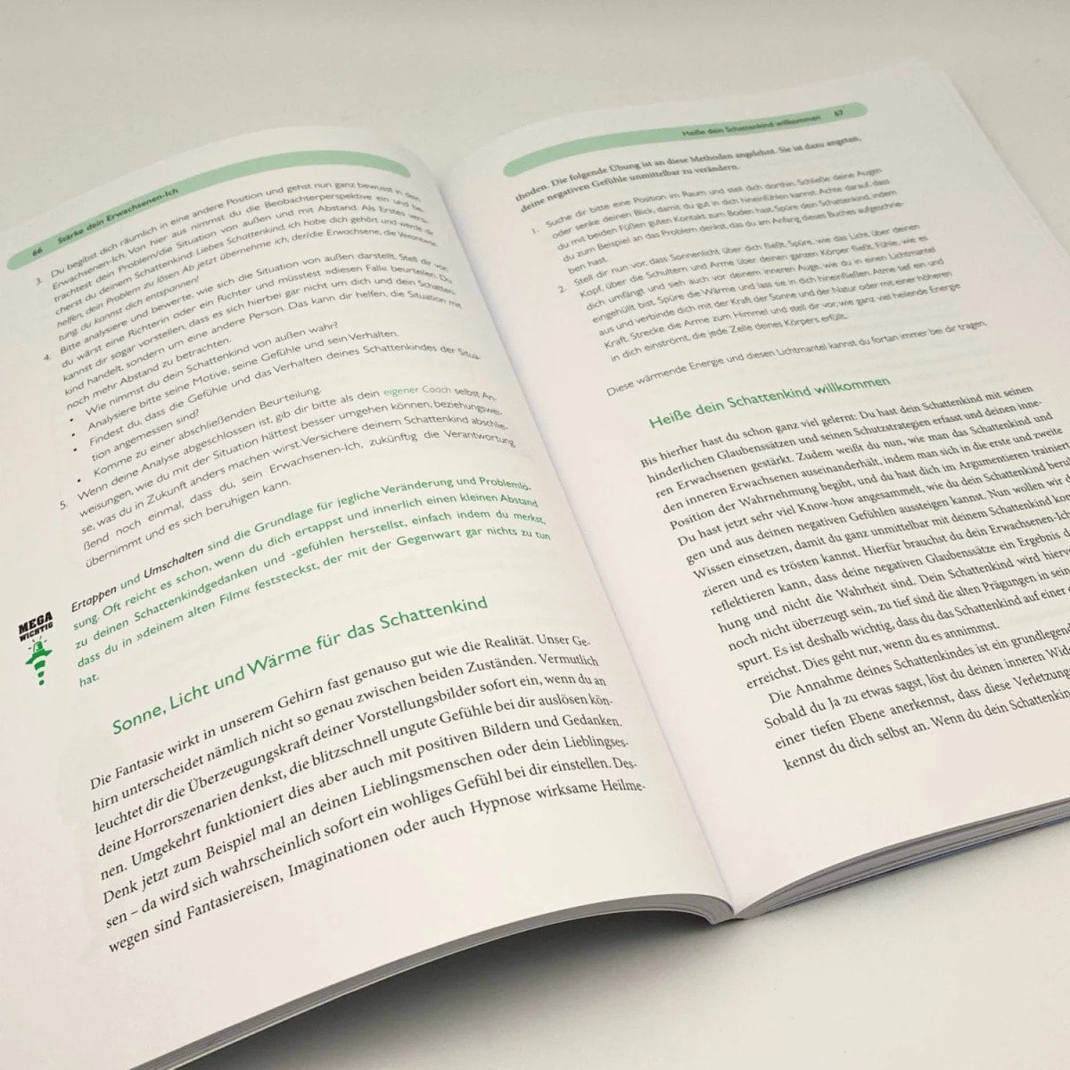Das Kind in dir muss Heimat finden (Arbeitsbuch)