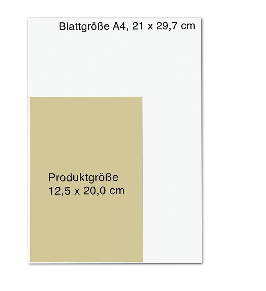Droemer Knaur Schwarzlicht (Deutsch, 2022, Camilla Läckberg, Henrik Fexeus)