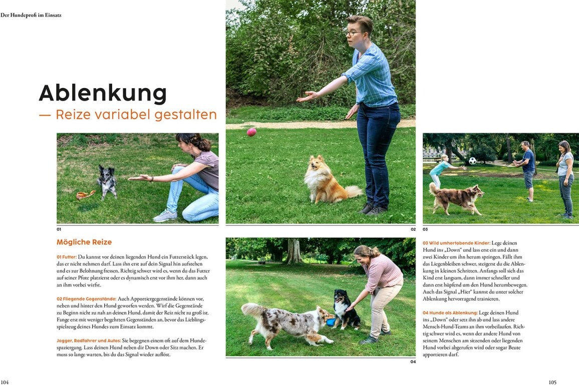Hundetraining mit Martin Rütter