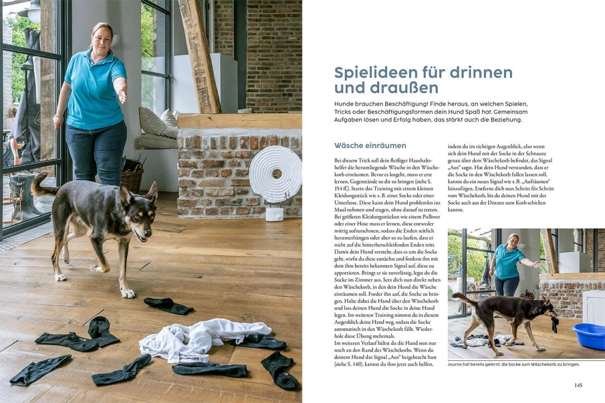 Hundetraining mit Martin Rütter