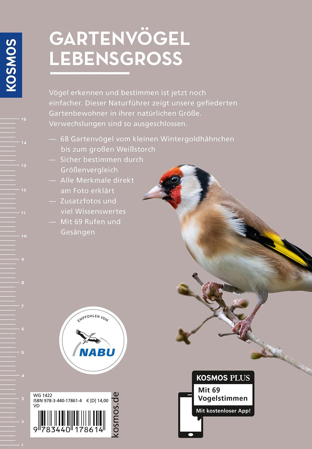 Kosmos Gartenvögel lebensgroß (Deutsch, 2024, Daniela Strauß)