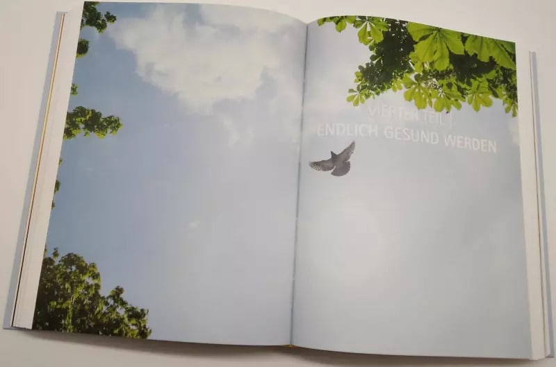 Arkana Mediale Medizin (Deutsch, 2022, Anthony William)