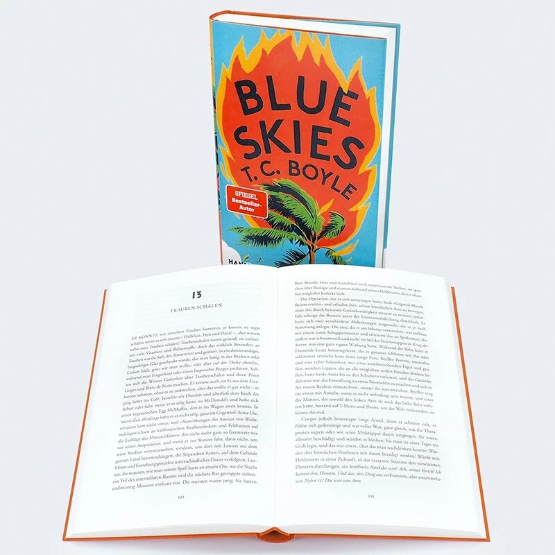 Hanser Blue Skies (Deutsch, 2023, T.C. Boyle, Dirk van Gunsteren)