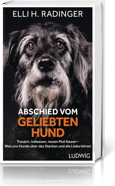 Ludwig Abschied vom geliebten Hund (Deutsch, 2022, Elli H. Radinger)
