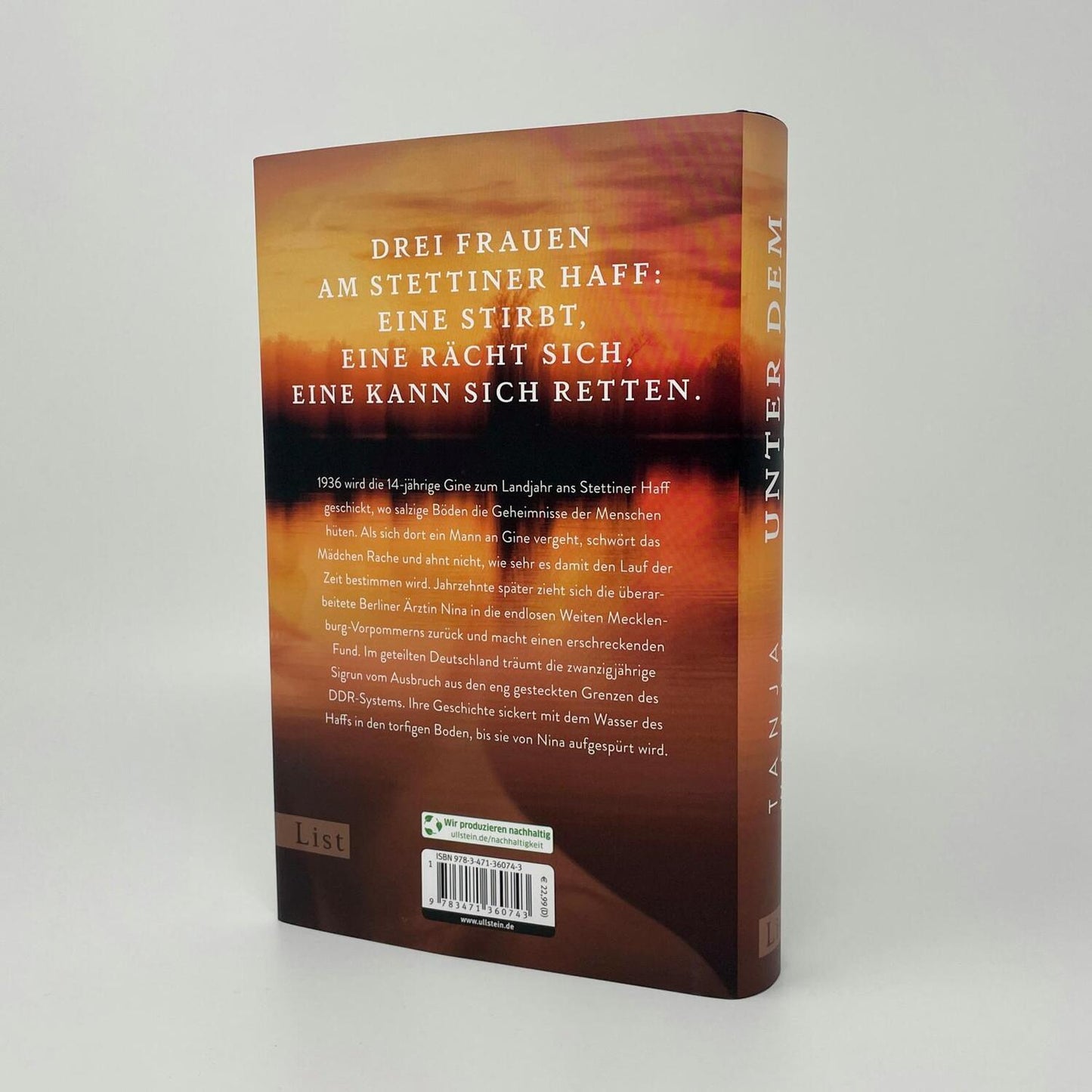 List Unter dem Moor (Deutsch, 2024, Tanja Weber)