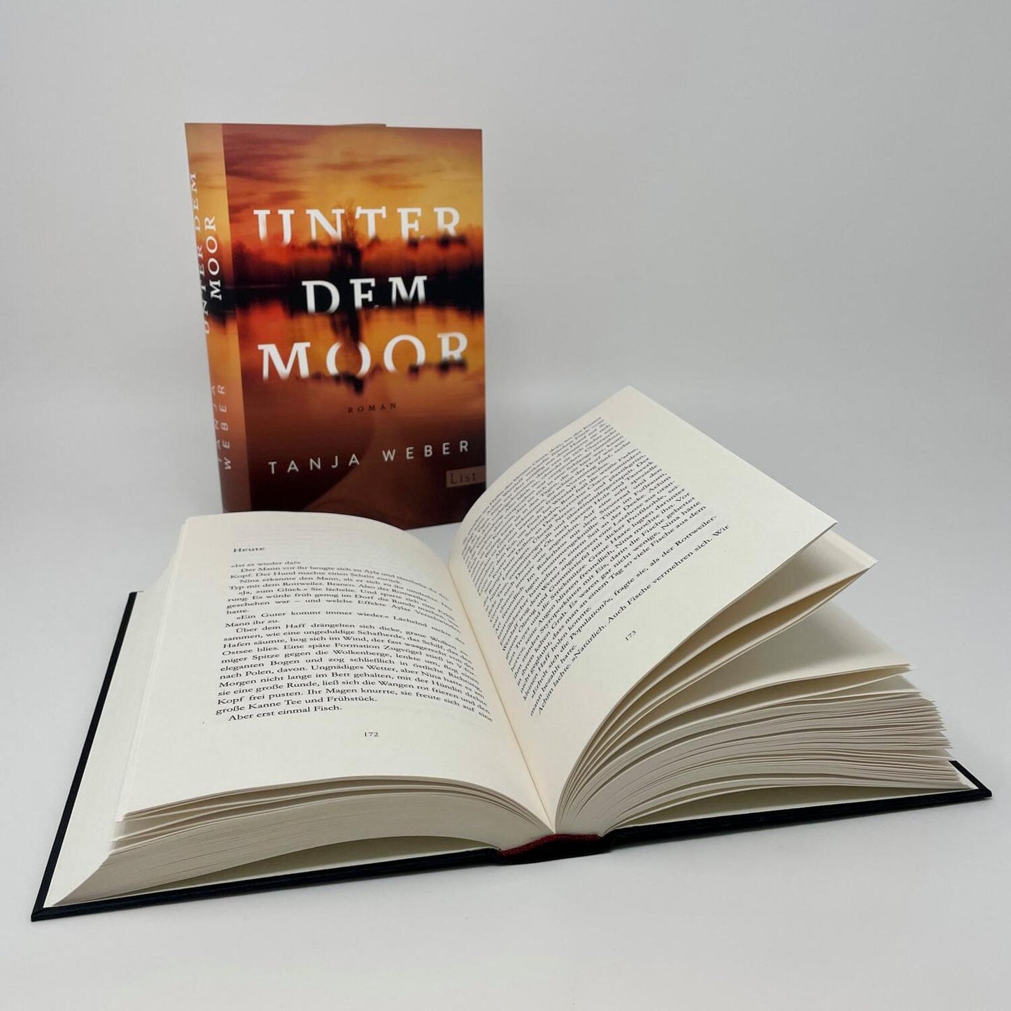 List Unter dem Moor (Deutsch, 2024, Tanja Weber)