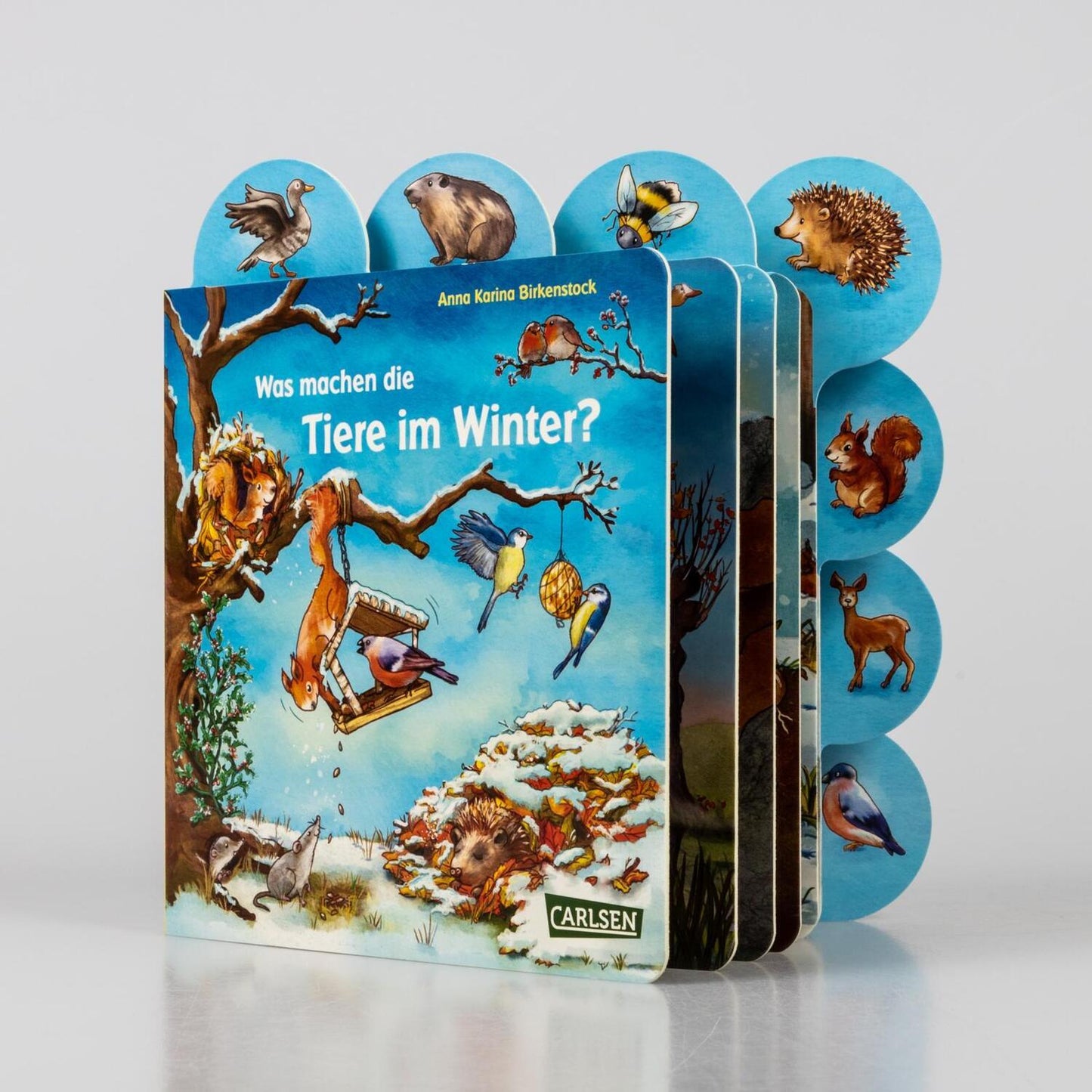 Carlsen Was machen die Tiere im Winter? (Deutsch, 2023, Anna Karina Birkenstock)