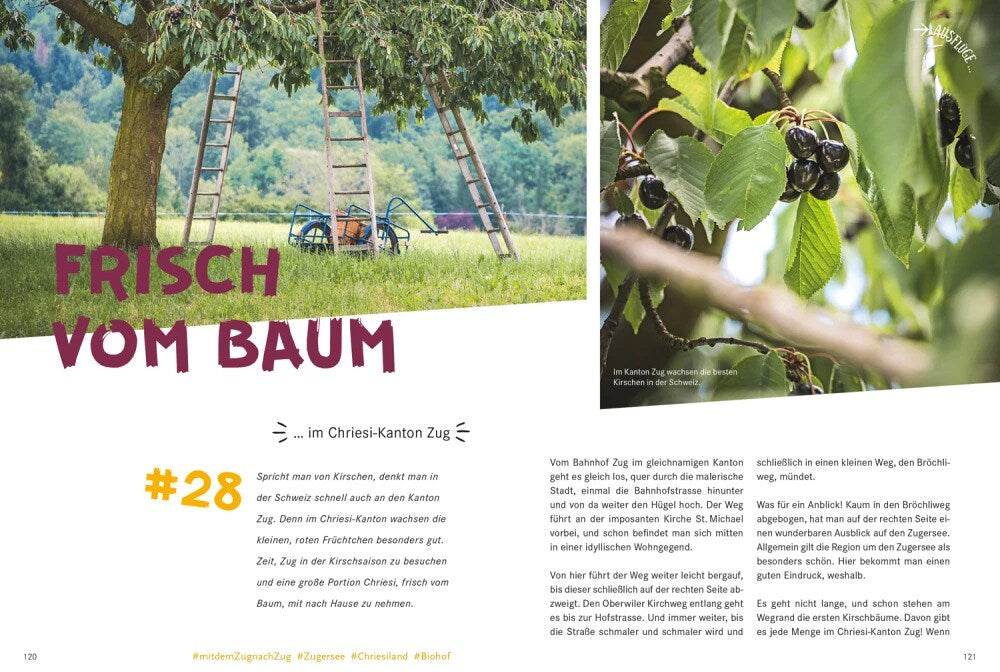 DuMont 52 kleine & große Eskapaden in und um Zürich (Deutsch, 2020, Valeria Mella)