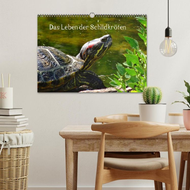 Das Leben der Schildkröten (Wandkalender 2024 DIN A3 quer), CALVENDO Monatskalender