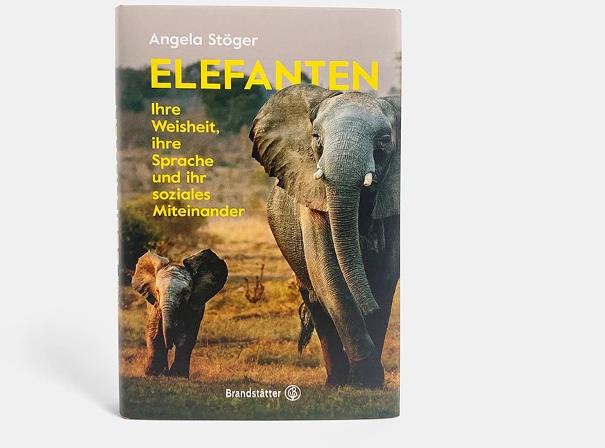 Elefanten