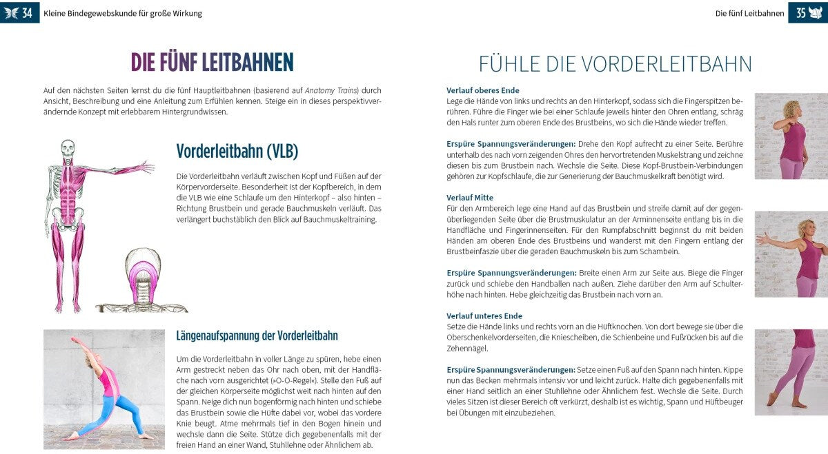 Riva Der Faszien-Code (Deutsch, 2024, Miriam Wessels, Heike Oellerich, Robert Schleip)