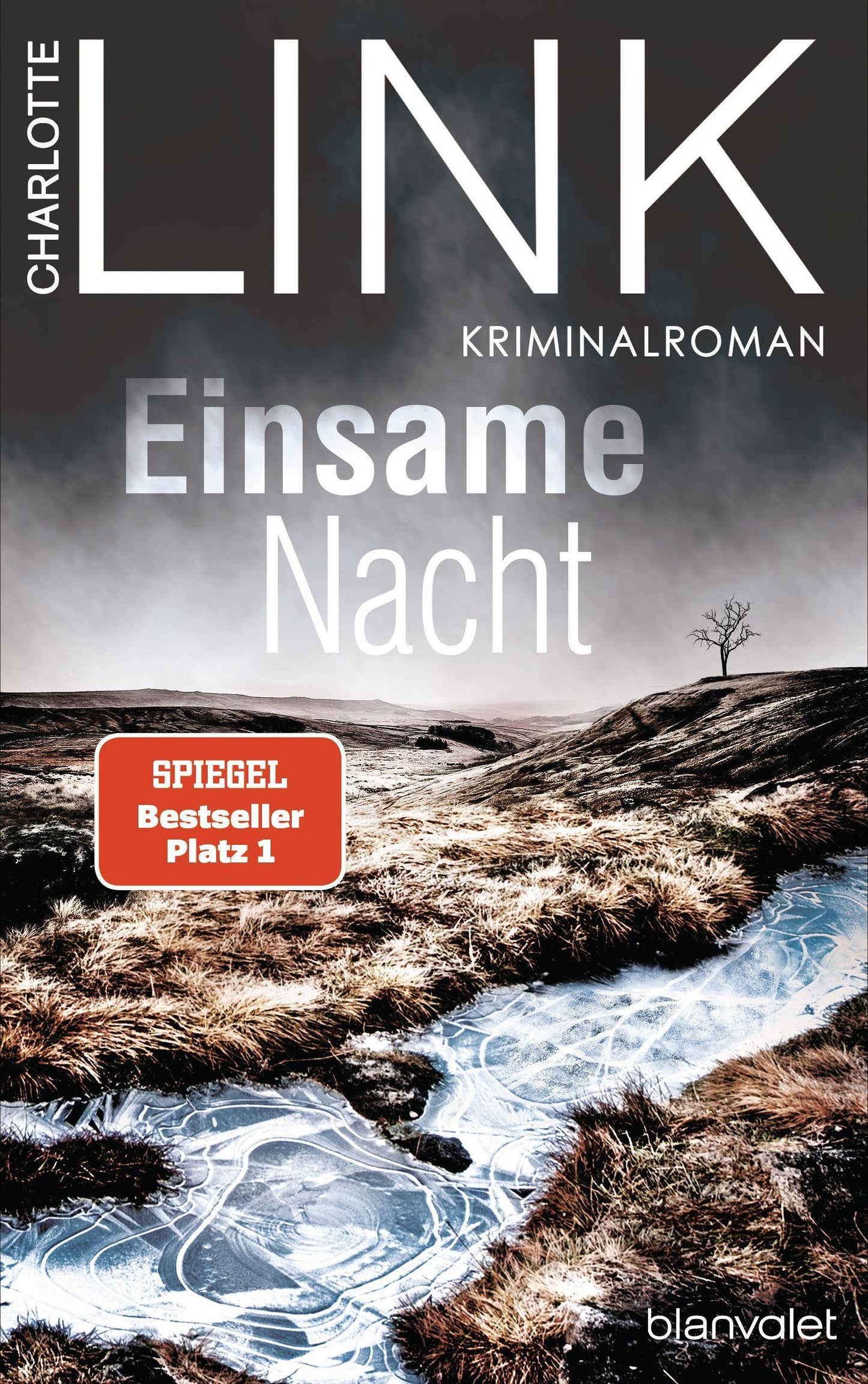 Blanvalet Einsame Nacht (Deutsch, 2022, Charlotte Link)