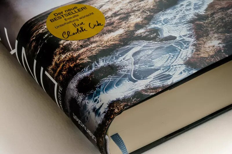 Blanvalet Einsame Nacht (Deutsch, 2022, Charlotte Link)