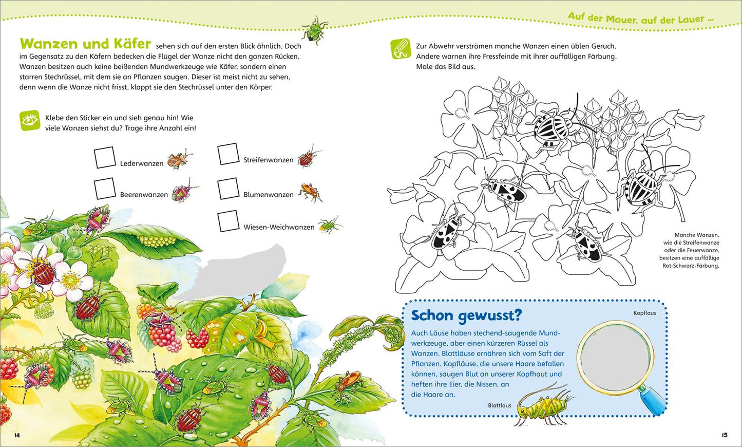 Tessloff WAS IST WAS Junior Mitmach-Heft. Insekten (Deutsch, 2020, Tatjana Marti)