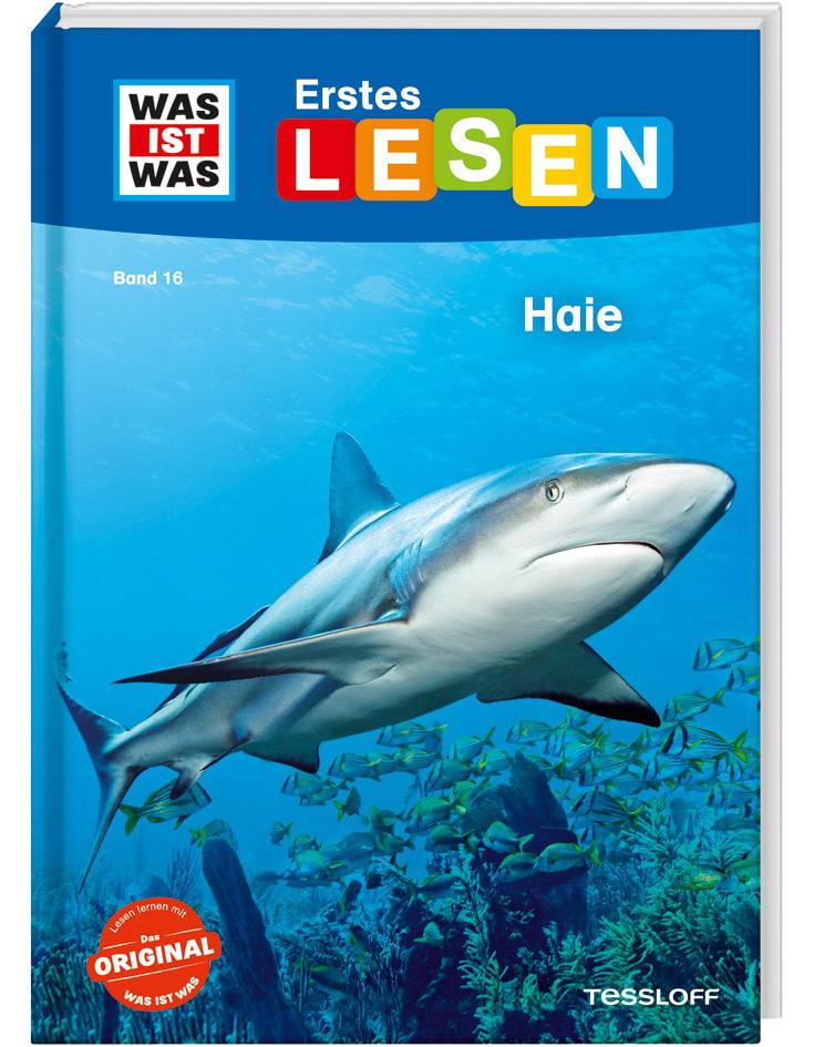 Tessloff WAS IST WAS Erstes Lesen Band 16. Haie (Deutsch, 2021, Christina Braun, Marie Gerstner)