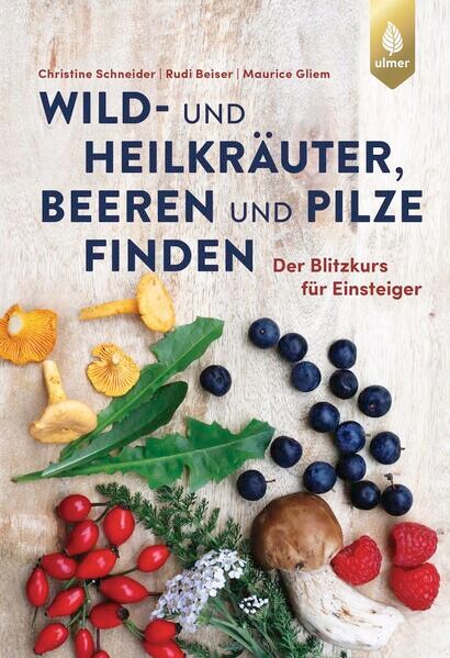 Eugen Ulmer Wild- und Heilkräuter, Beeren und Pilze finden (Deutsch, 2024, Maurice Gliem, Christine Schneider, Rudi Beiser)