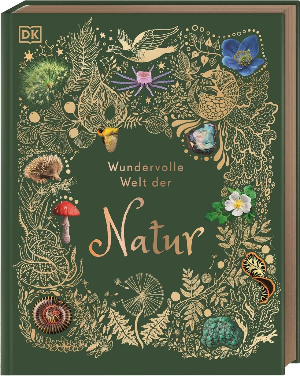 Dorling Kindersley Wundervolle Welt der Natur (Deutsch, 2020, Ben Hoare)