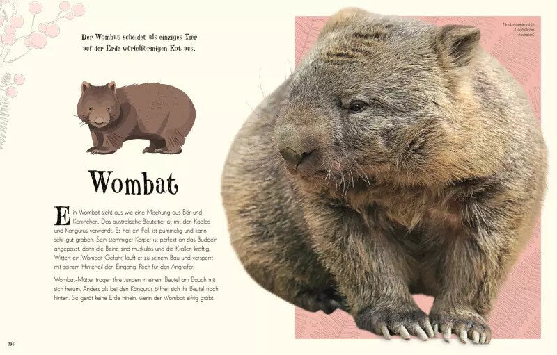 Dorling Kindersley Wundervolle Welt der Natur (Deutsch, 2020, Ben Hoare)