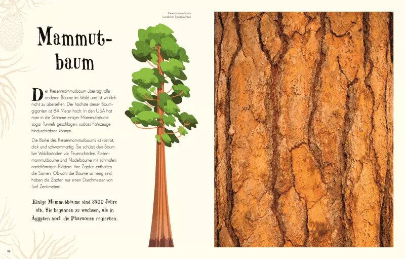 Dorling Kindersley Wundervolle Welt der Natur (Deutsch, 2020, Ben Hoare)