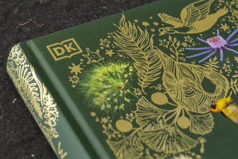 Dorling Kindersley Wundervolle Welt der Natur (Deutsch, 2020, Ben Hoare)