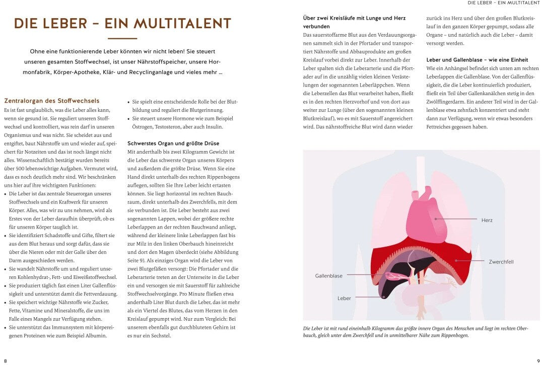 Die revolutionäre 9-Tage-Leber-Kur