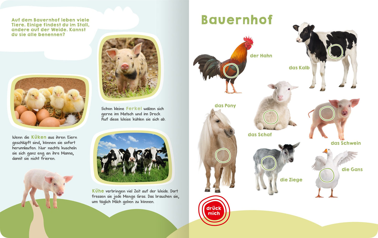 Ars Edition Mein grosses Buch der Tiergeräusche (Deutsch, 2017, Oliver Grieshammer)