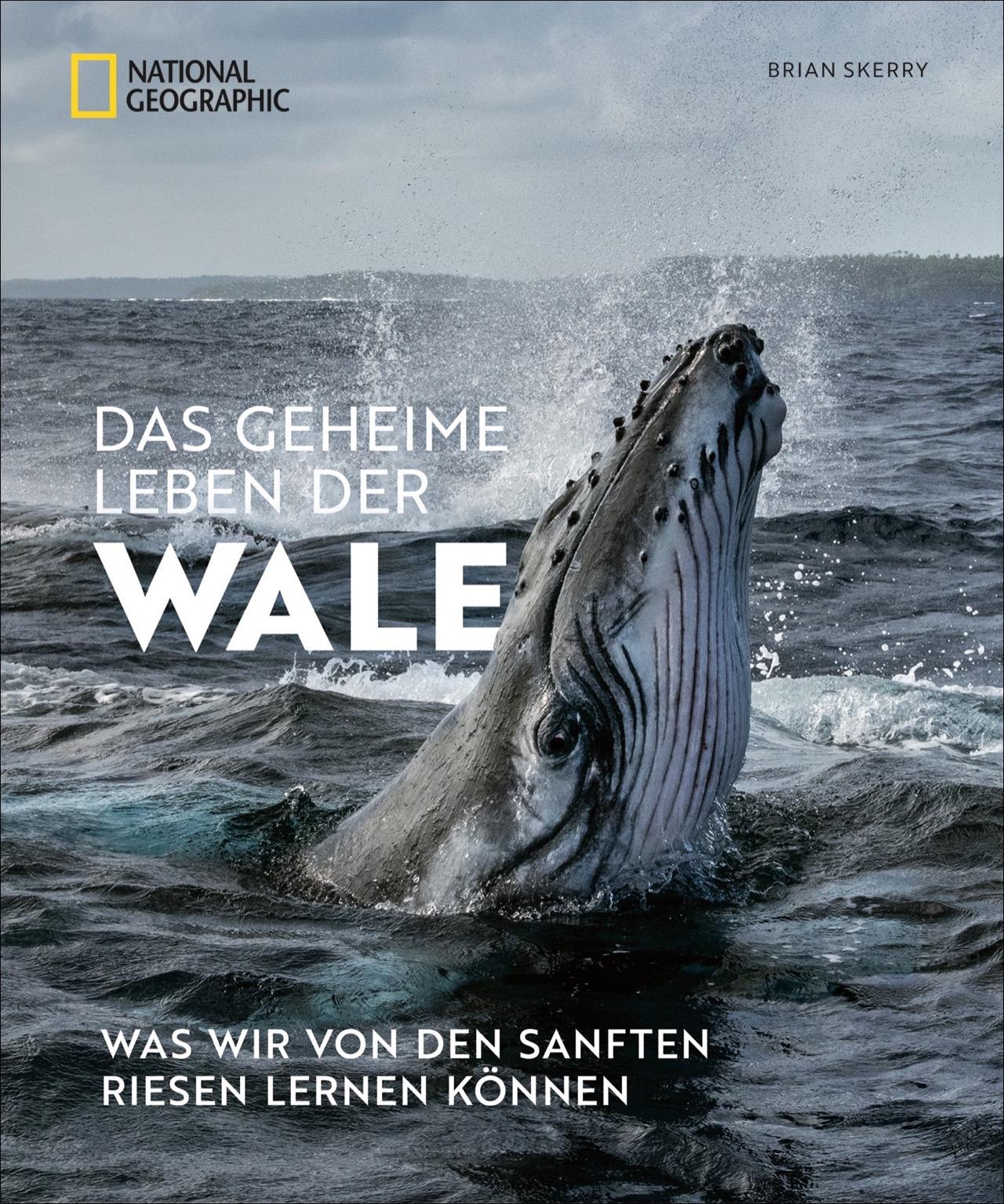 National Geographic Das geheime Leben der Wale