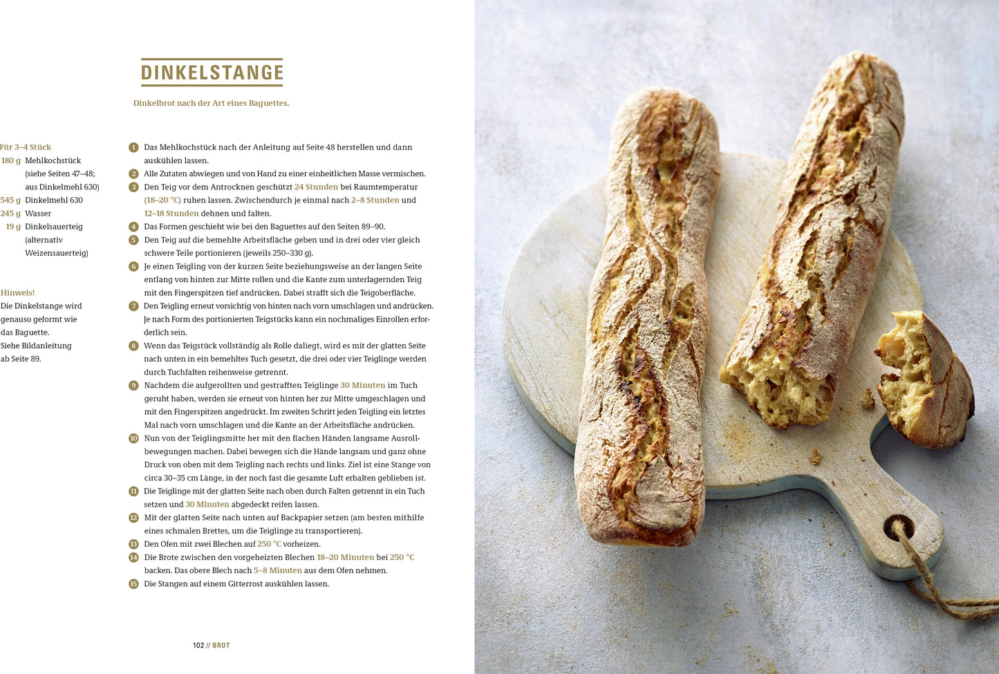 Becker Joest Volk Brot backen in Perfektion mit Sauerteig (Deutsch, 2017, Lutz Geissler)