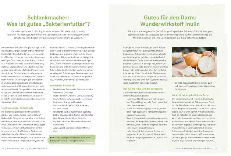 Die Ernährungs-Docs - Gesund abnehmen mit der Darm-fit-Formel