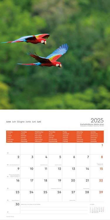 Fernweh - KUNTH Broschurkalender 2024