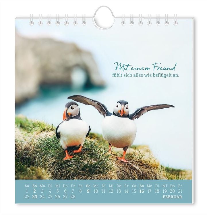 Postkartenkalender 2024 Strandgut