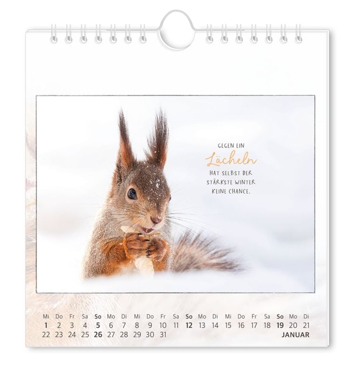 Postkartenkalender 2024 Traumtage