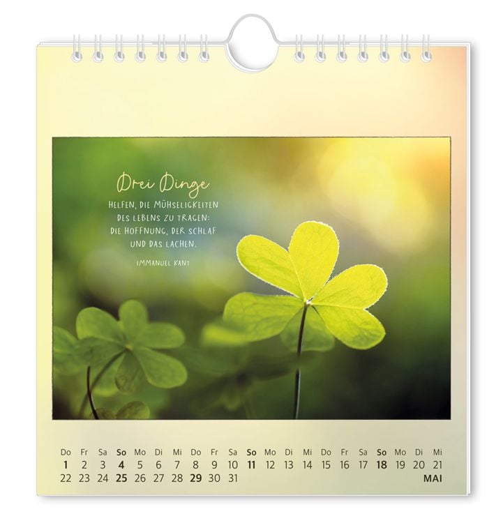 Postkartenkalender 2024 Traumtage