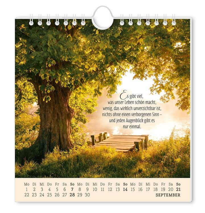 Postkartenkalender 2024 Lebenszeichen