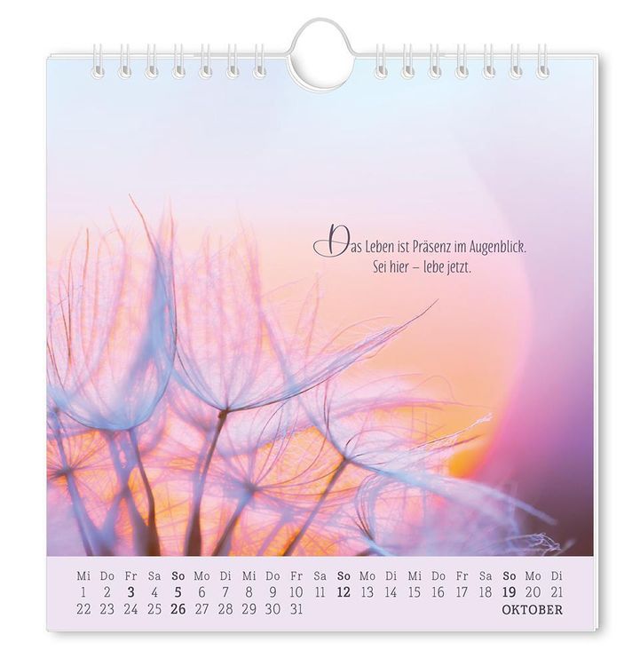 Postkartenkalender 2024 Lebenszeichen