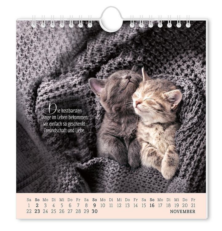 Postkartenkalender 2024 Lebenszeichen