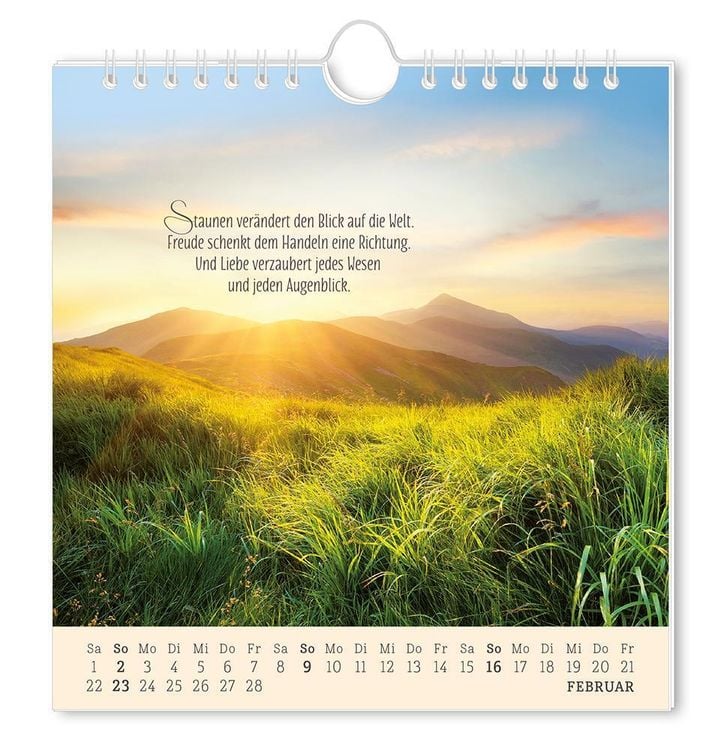 Postkartenkalender 2024 Lebenszeichen