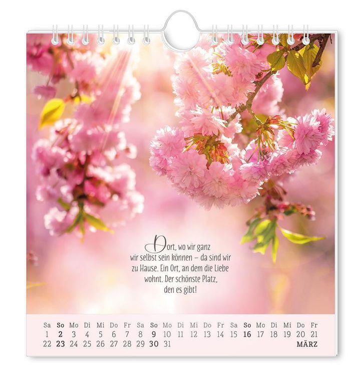 Postkartenkalender 2024 Lebenszeichen