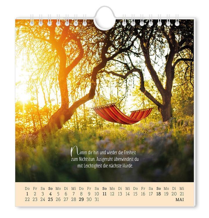 Postkartenkalender 2024 Lebenszeichen