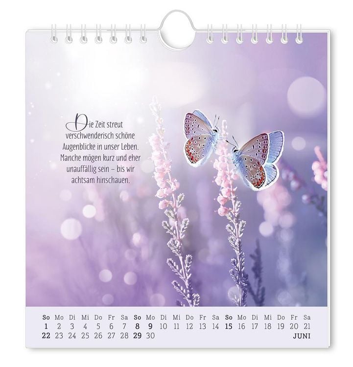 Postkartenkalender 2024 Lebenszeichen