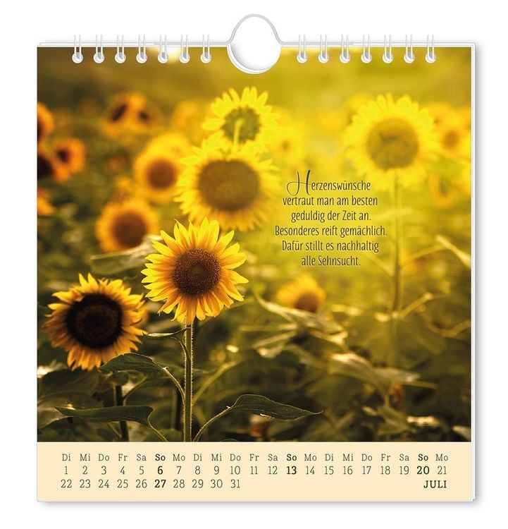 Postkartenkalender 2024 Lebenszeichen