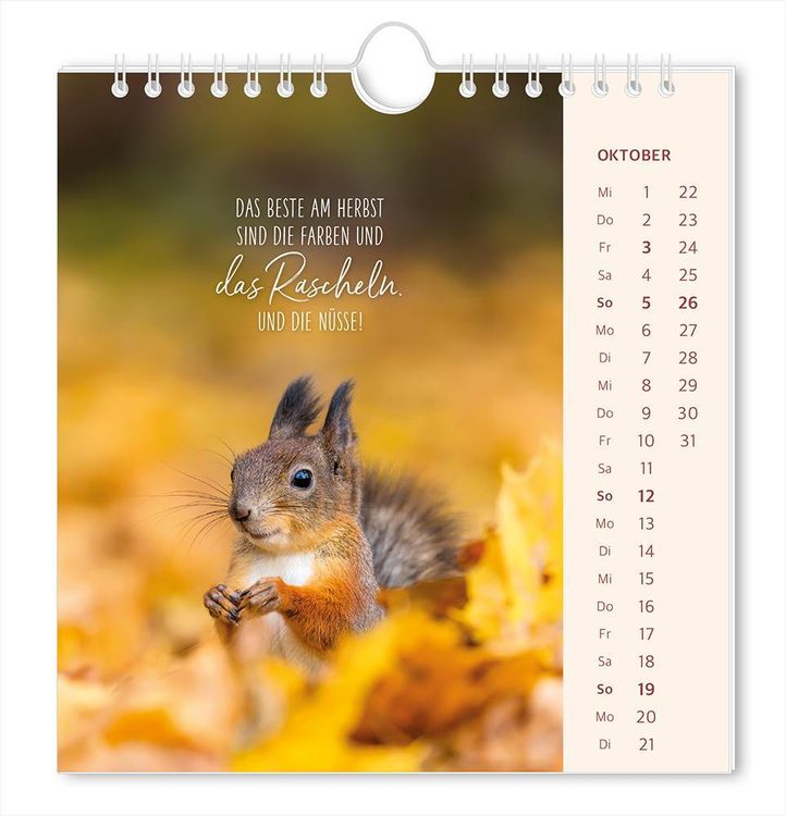 Postkartenkalender 2024 Lichtblicke