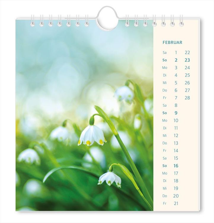 Postkartenkalender 2024 Lichtblicke
