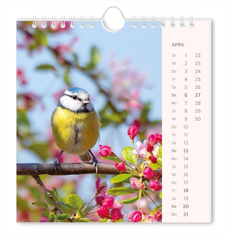 Postkartenkalender 2024 Lichtblicke