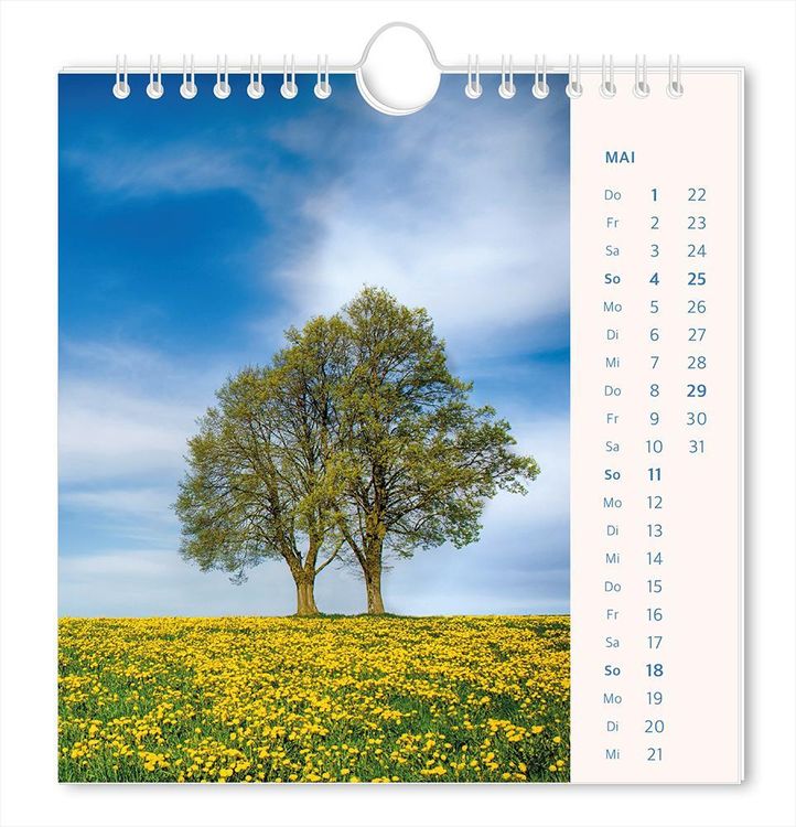 Postkartenkalender 2024 Lichtblicke