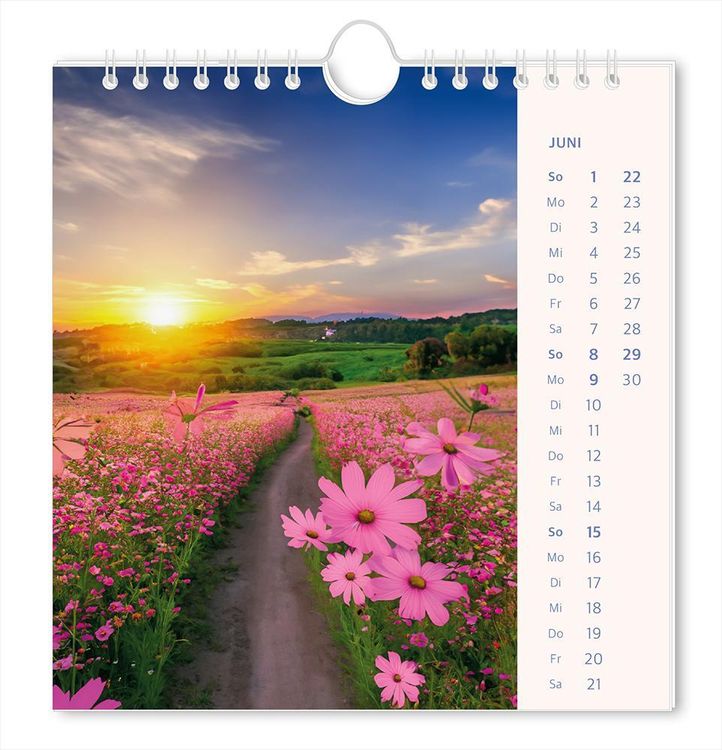 Postkartenkalender 2024 Lichtblicke