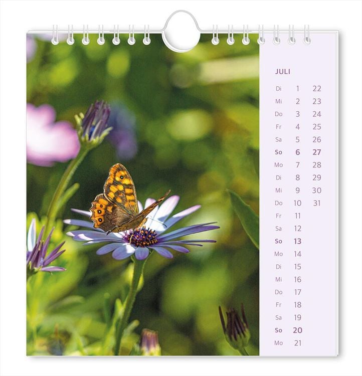 Postkartenkalender 2024 Lichtblicke